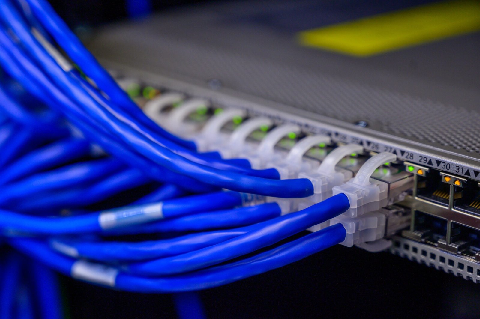 Cabos ethernet azuis conectados a switch de rede